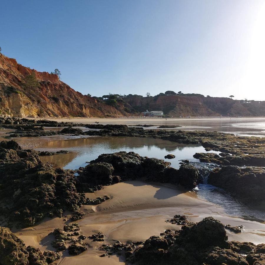 Paradise In Olhos D'Agua Beach Albufeira Exterior photo